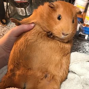 Meet your Posher, Hheidi